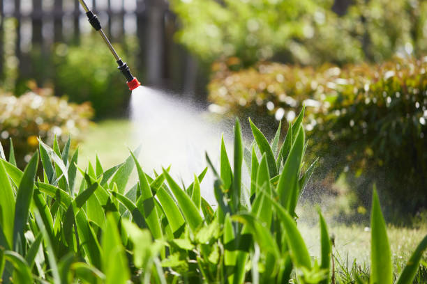 Tamper-Resistant Bait Stations for Rodents in Arthur