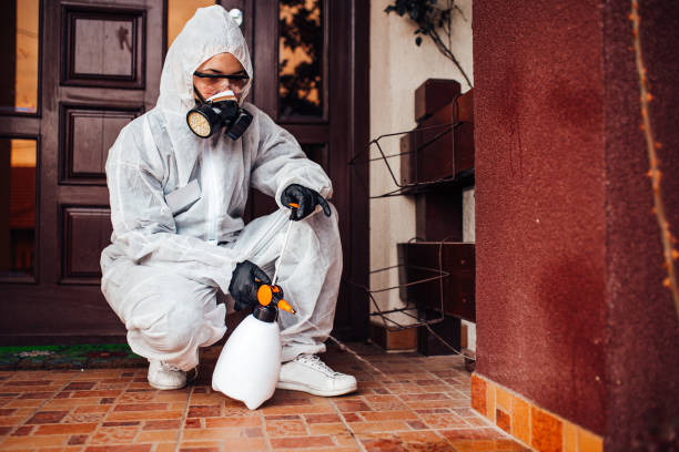 Attic and Crawl Space Rodent Treatment in Arthur